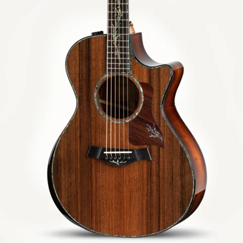 Taylor アコースティックギター Acoustic Guitars | Taylor Guitars